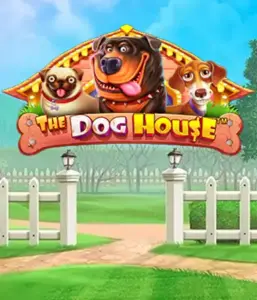 Pragmatic Play's The Dog House Slot, featuring a delightful experience among playful pups. Discover features including multipliers, perfect for providing entertaining gameplay. A must-try for pet lovers a lighthearted atmosphere with a chance for big wins.